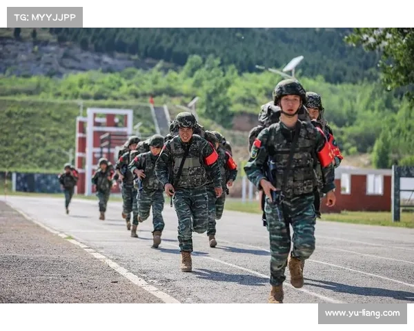 张德培队如何凭借团队协作和战术创新斩获2024澳门冠军