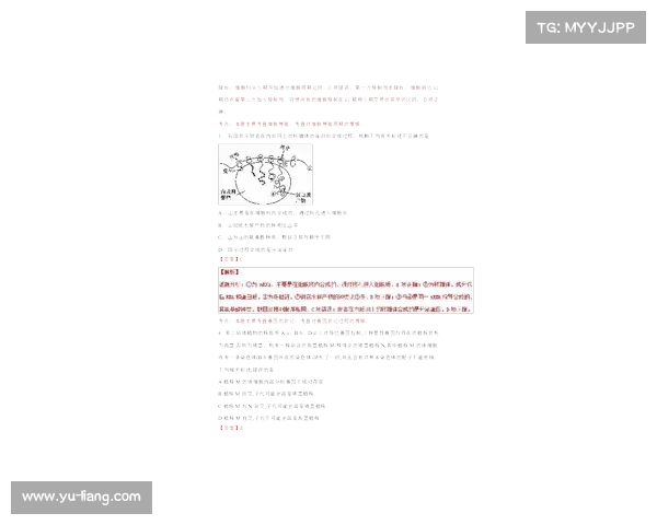 成都蓉城引援75万欧元引超强边锋加盟解析及其潜力分析